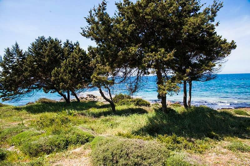 A House Between Ancient Olympia And The Ionian Sea Levendokhorion Екстер'єр фото
