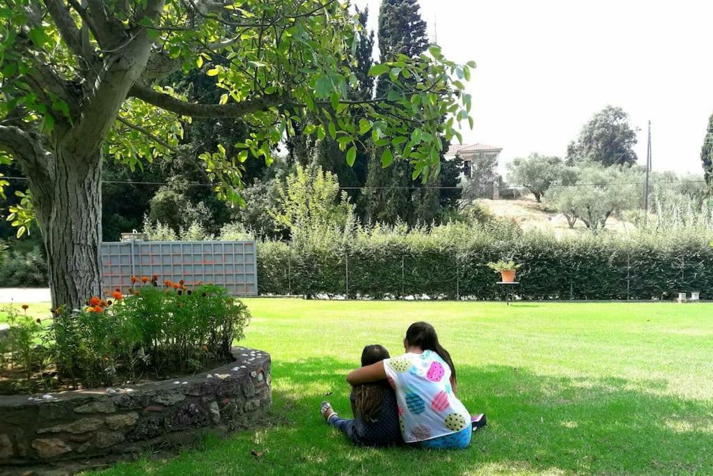 A House Between Ancient Olympia And The Ionian Sea Levendokhorion Екстер'єр фото
